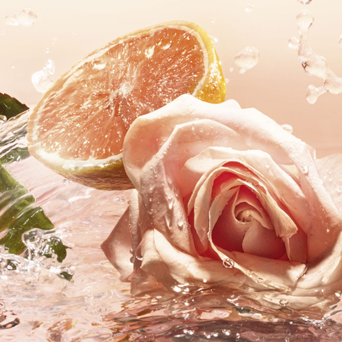 new-freshness.jpg?sw=1080&sfrm