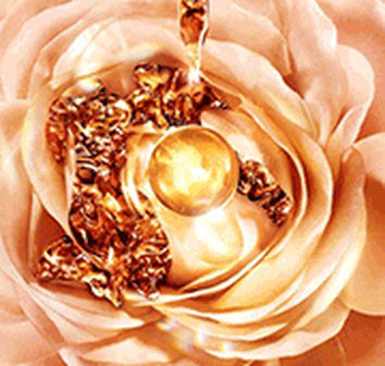 Absolue Essence - Premium Powder Foundation | Lancôme Australia