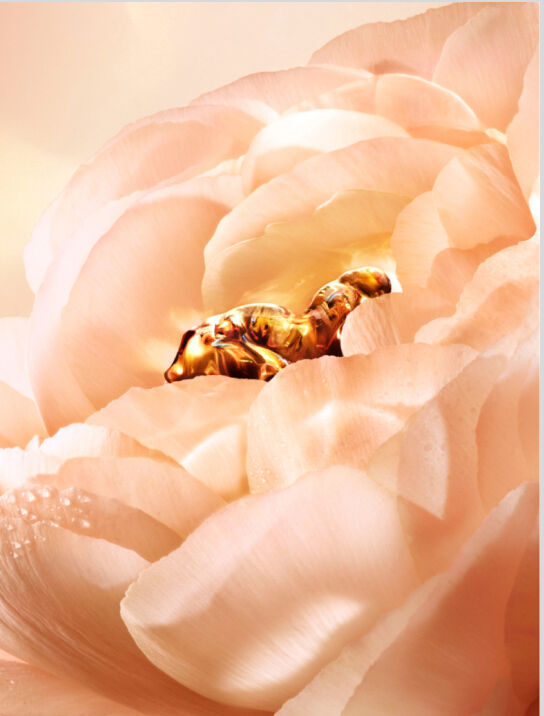 Discover The Absolue Collection | Lancôme Australia