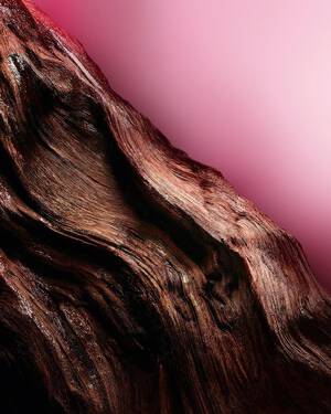 Wood ingredient