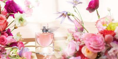 Top Notes Fragrance Perfume