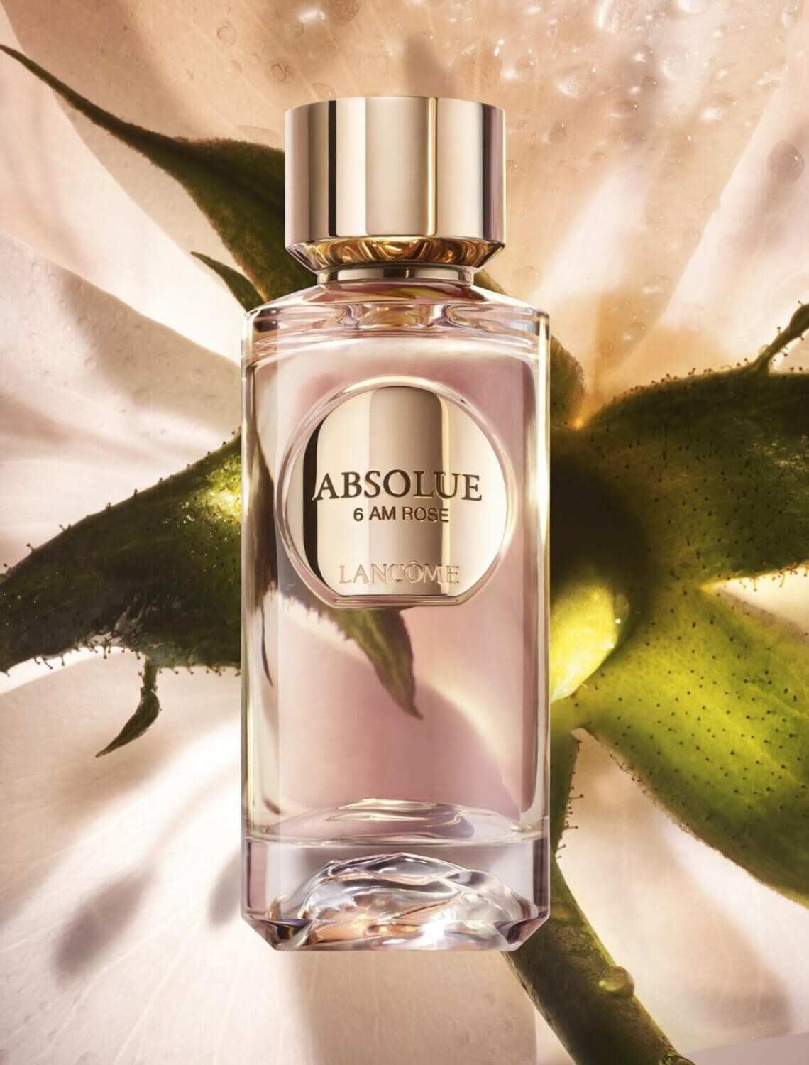 Absolue Les Parfums: 6AM Rose Perfume Lancôme Australia
