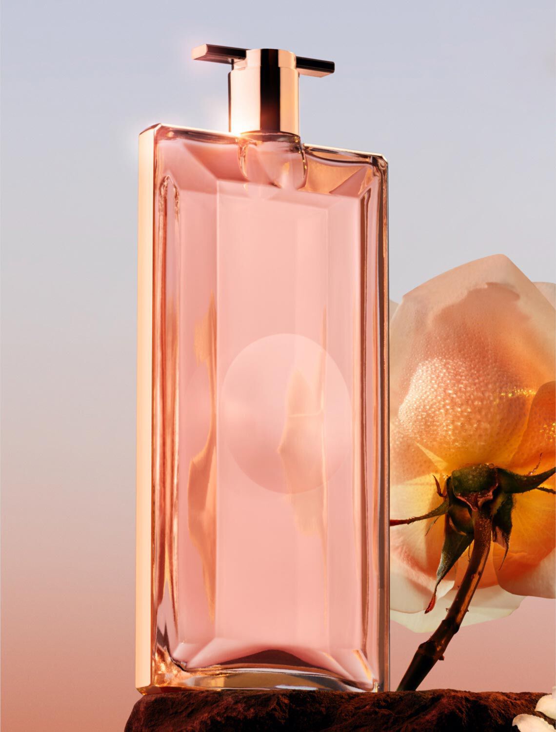 Zendaya perfume online