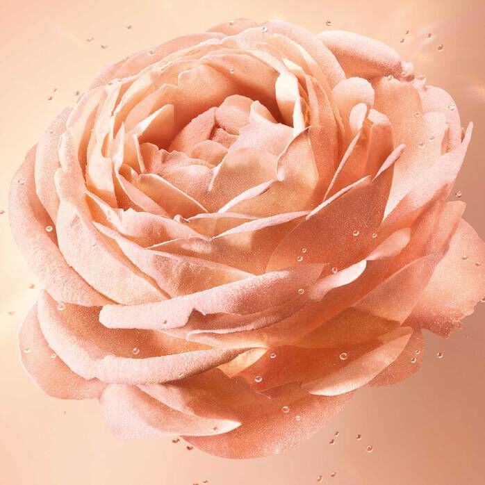 Absolue Essence - Premium Powder Foundation | Lancôme Australia